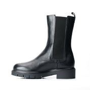 Anfibio Rebellious | 4367